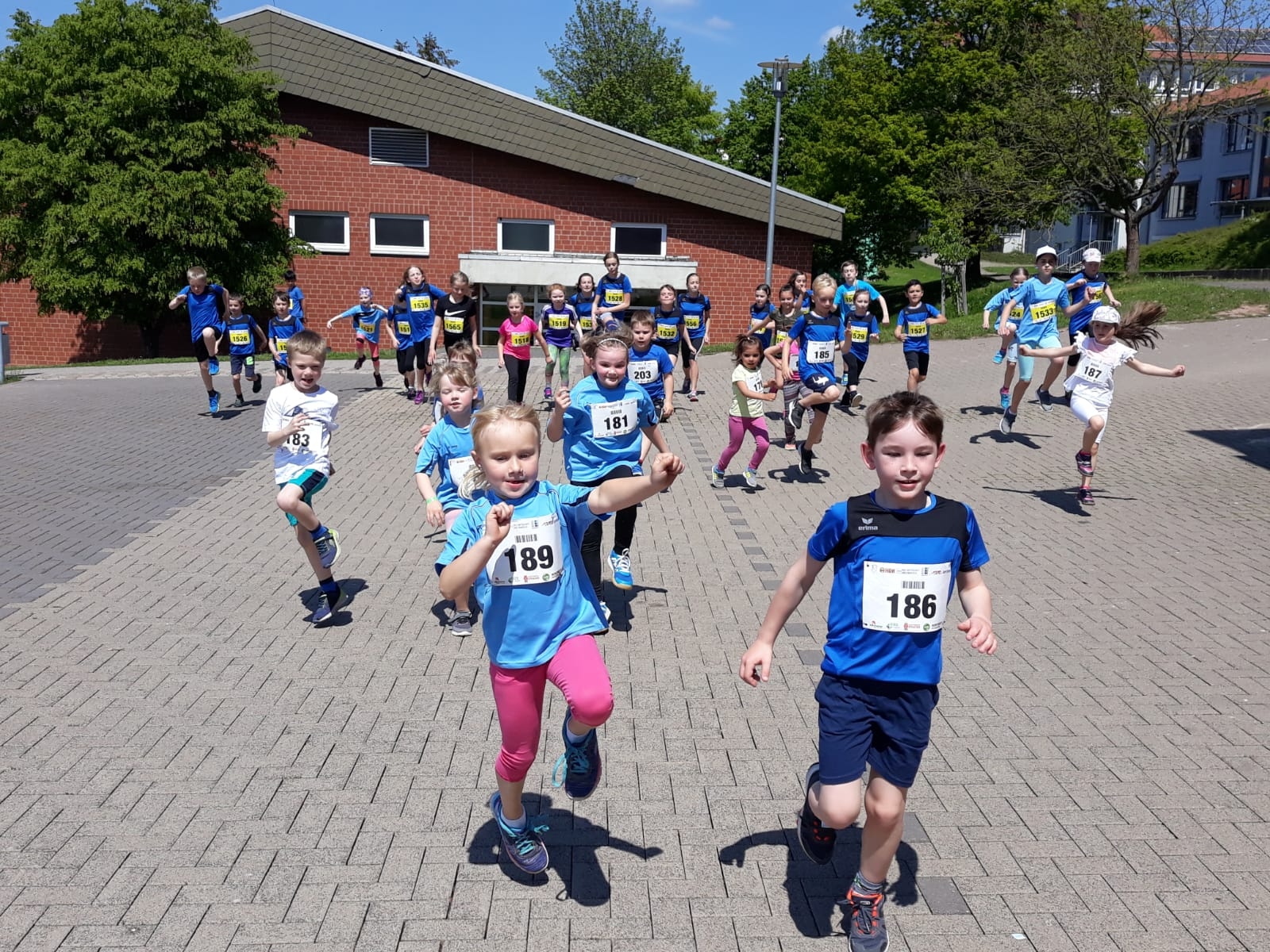 VfL stellt starke Truppe beim Wolfhager Volkslauf
